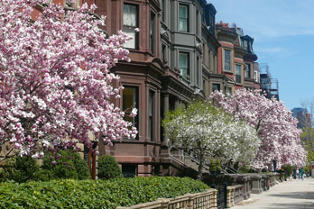 Boston – wissenschaftliches Zentrum der USA