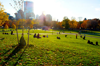 Boston – wissenschaftliches Zentrum der USA