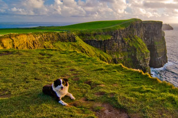 Sprachreisen Irland