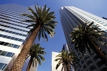 In Los Angeles everyone is a star
