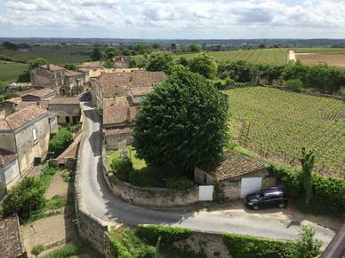 in den Weinbergen vor Bordeaux, Französisch Sprachreisen für Erwachsene