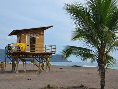 Palmen am Strand von Playa Jacó, Spanisch Sprachreisen für Erwachsene Costa Rica