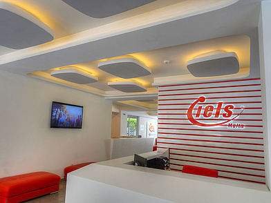 Moderne Rezeption der Sprachschule IELS Malta mit Logo und Wartebereich