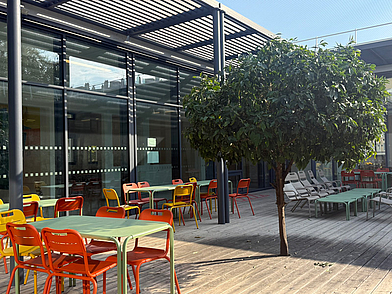 Außenbereich des Campus Eucalyptus mit Sitzmöglichkeiten für gemeinsame Pausen bei der Französisch Sprachreise Nizza