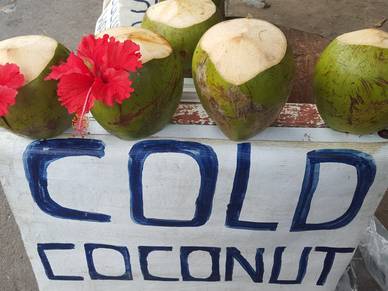 frische Kokosnuss, Spanisch Sprachreisen für Erwachsene Costa Rica