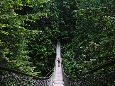 Hängebrücke in dichtem Wald als Outdoor-Erlebnis während einer Sprachreise nach Kanada