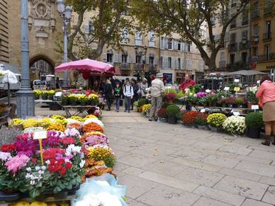 Blumenmarkt in Aix-en-Provence, Französisch Business Sprachreise
