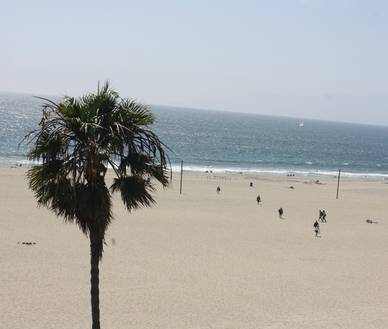 Sonne, Strand und Meer in Santa Barbara, Englisch Sprachreisen für Erwachsene