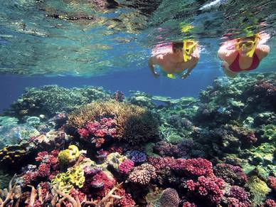 Englisch Sprachreise nach Cairns, dem Tor zum Great Barrier Reef 