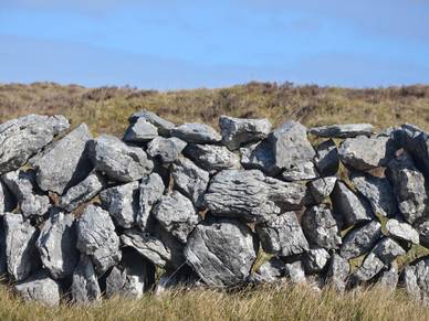 Steinmauern in Galway, Englisch Sprachreisen für Erwachsene