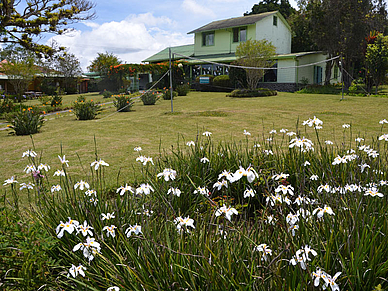 Spanisch Sprachschule in Coronado
