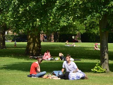 Picknick im Park, Sprachreisen für Erwachsene York