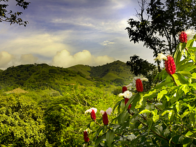 Impressionen Manuel Antonio, Costa Rica