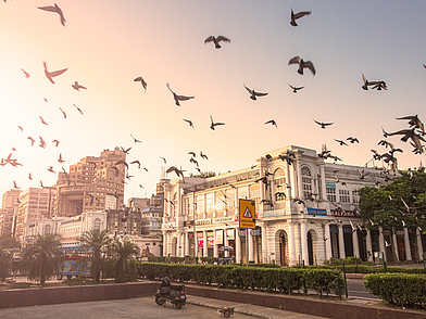 Connaught Place in Neu-Delhi am frühen Morgen mit fliegenden Tauben – zentraler Treffpunkt während einer Englisch Sprachreise in Indien.