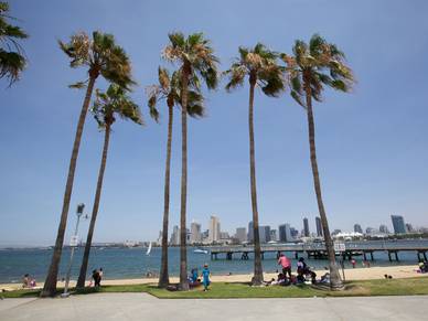 Palmen am Strand von San Diego, Englisch Sprachreisen für Erwachsene