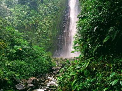 Wasserfall in Guadeloupe, Französisch Sprachreisen für Erwachsene