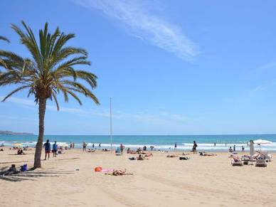 Palmen und Meer in Alicante, Spanisch Sprachreisen für Erwachsene Spanien