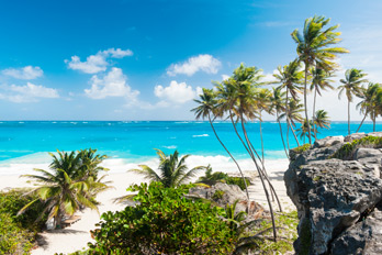 Englisch Sprachreise Barbados für Erwachsene